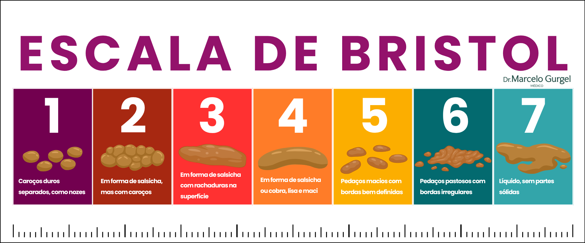 Escala de Bristol com sete tipos de formato e consistência das fezes
